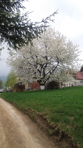 Strada Festung nr 45, Bran 507025, România