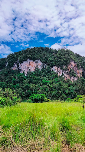 Menjelajahi Jumlah Tempat Taman Nasional di Indonesia yang Menakjubkan