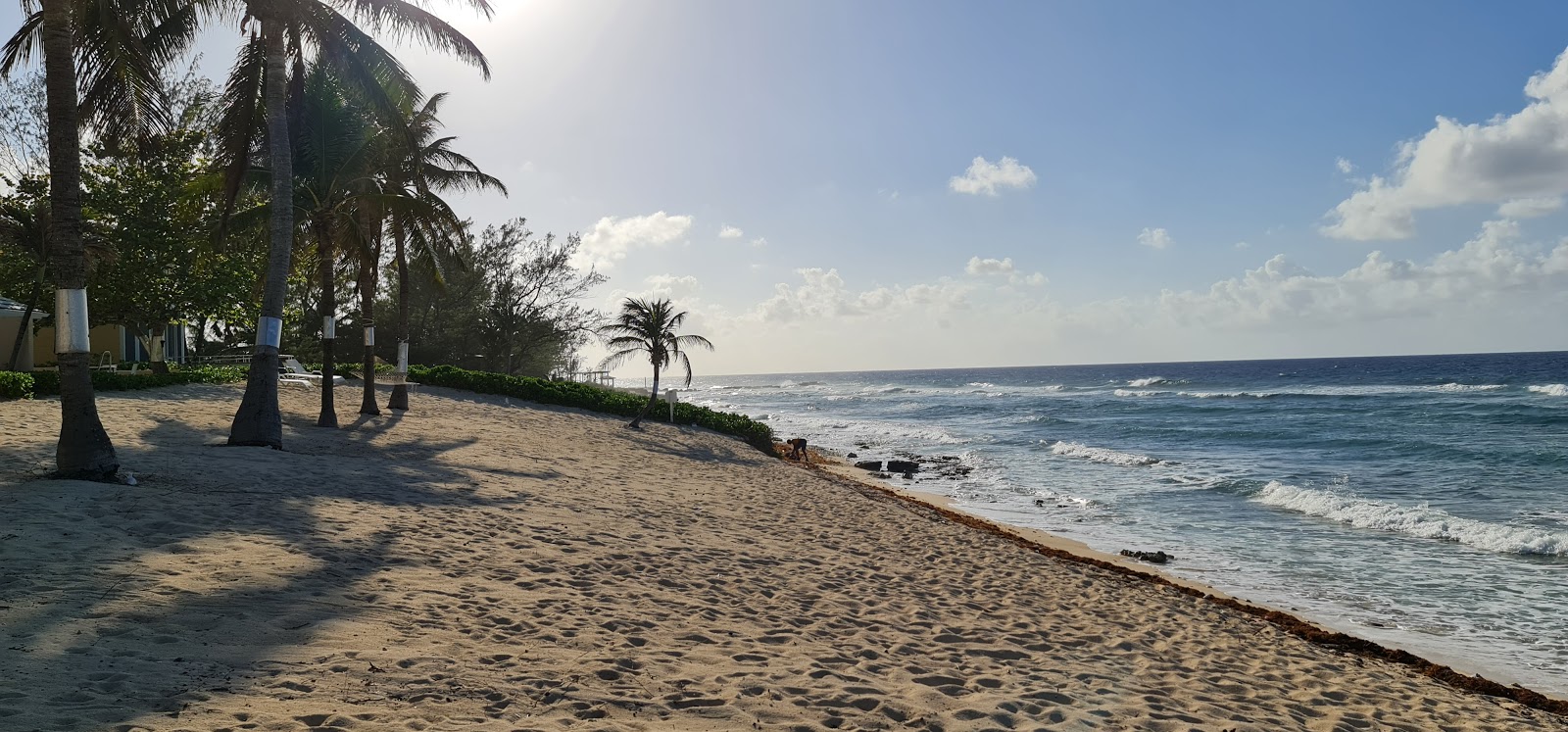 Foto di Conch Point beach con una costa dritta