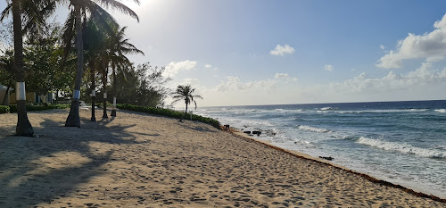 Conch Point beach photo #2