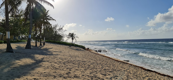 Conch Point beach