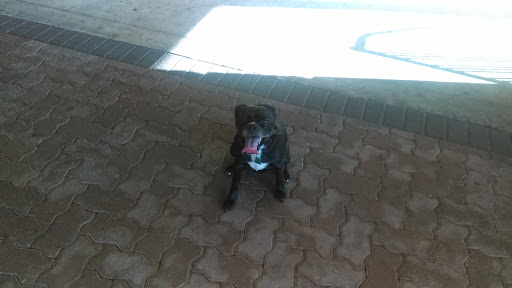 Discount Store «Dollar General», reviews and photos, 251I Mary Esther Blvd, Mary Esther, FL 32569, USA