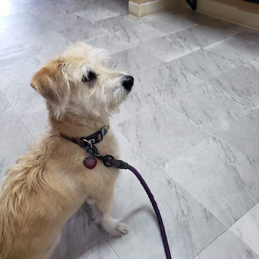 20200 Pioneer Blvd, Cerritos, CA 90703, USA