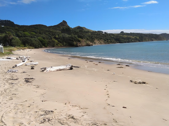 Lucy Baxter Beach