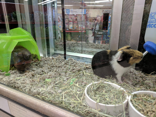 Pet Supply Store «Petco Animal Supplies», reviews and photos, 1309 W Main Rd, Middletown, RI 02842, USA