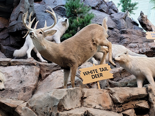 Sporting Goods Store «SCHEELS», reviews and photos, 1200 Scheels Drive, Sparks, NV 89434, USA