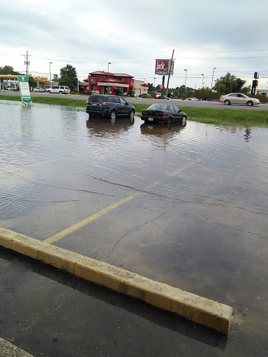 Dollar Store «Dollar Tree», reviews and photos, 9317 Burbank Dr, Baton Rouge, LA 70820, USA