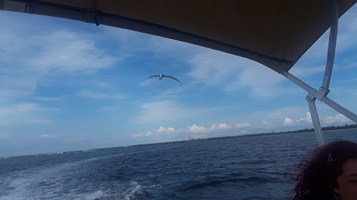 Park «Joe Moody Harris Park», reviews and photos, N Center Ave, Panama City, FL 32401, USA