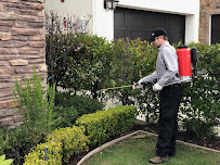 Spectra Pest Control - Photo 4 - Car repair in , Mission Viejo