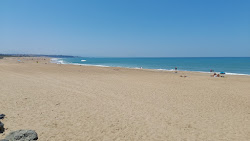 Photo de Plage Cavalier avec un niveau de propreté de très propre