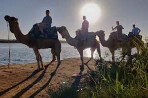 Agadir Outdoor Activities: Camel and Horseback Tours image