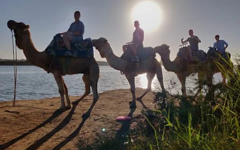 Agadir Outdoor Activities: Camel and Horseback Tours image