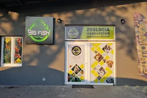 Big Fish Wędkarstwo i Zoologia image