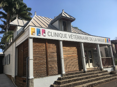 Clinique Vétérinaire de la Vague à Saint-Leu