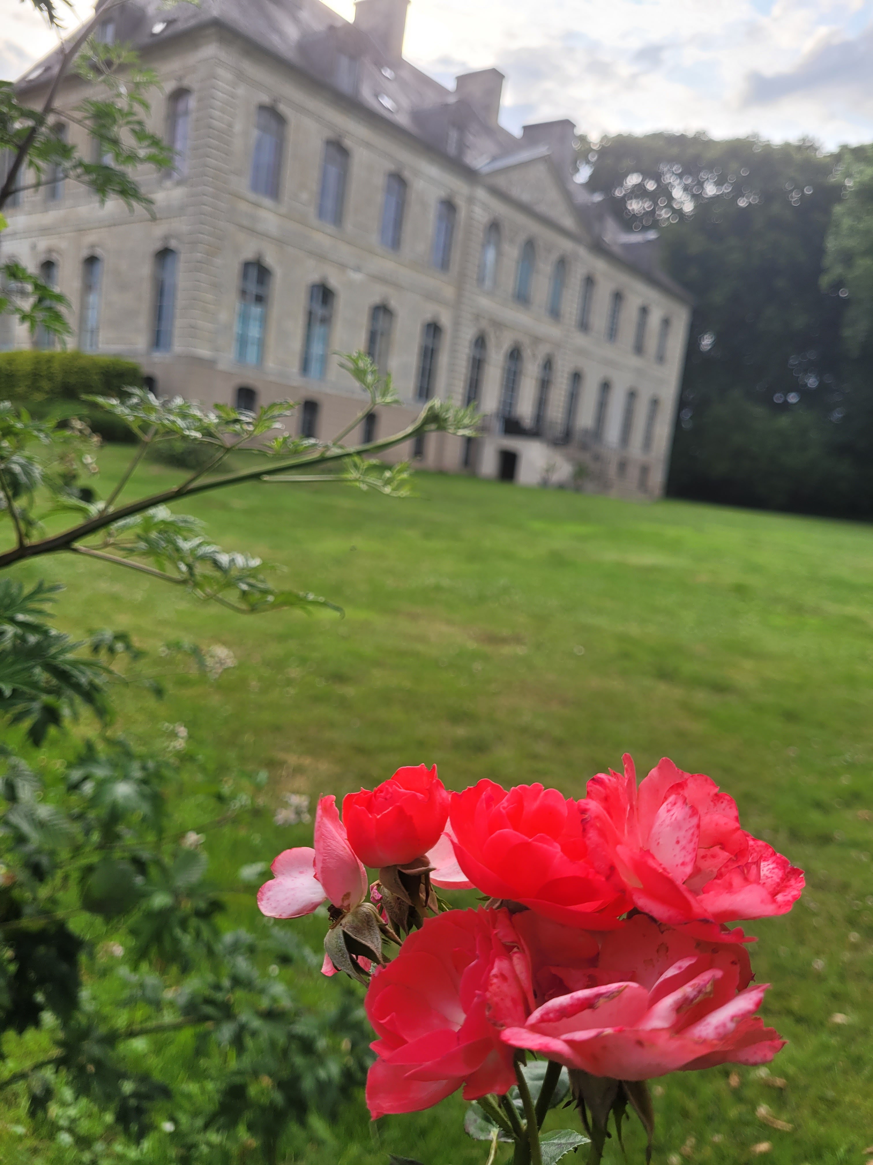 Photo n° 12 de l'avis de P... fait le 12/07/2023 à 18:40