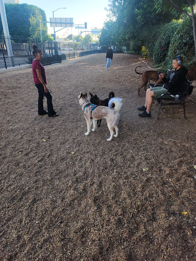 L.A. Live Large Dogs Park