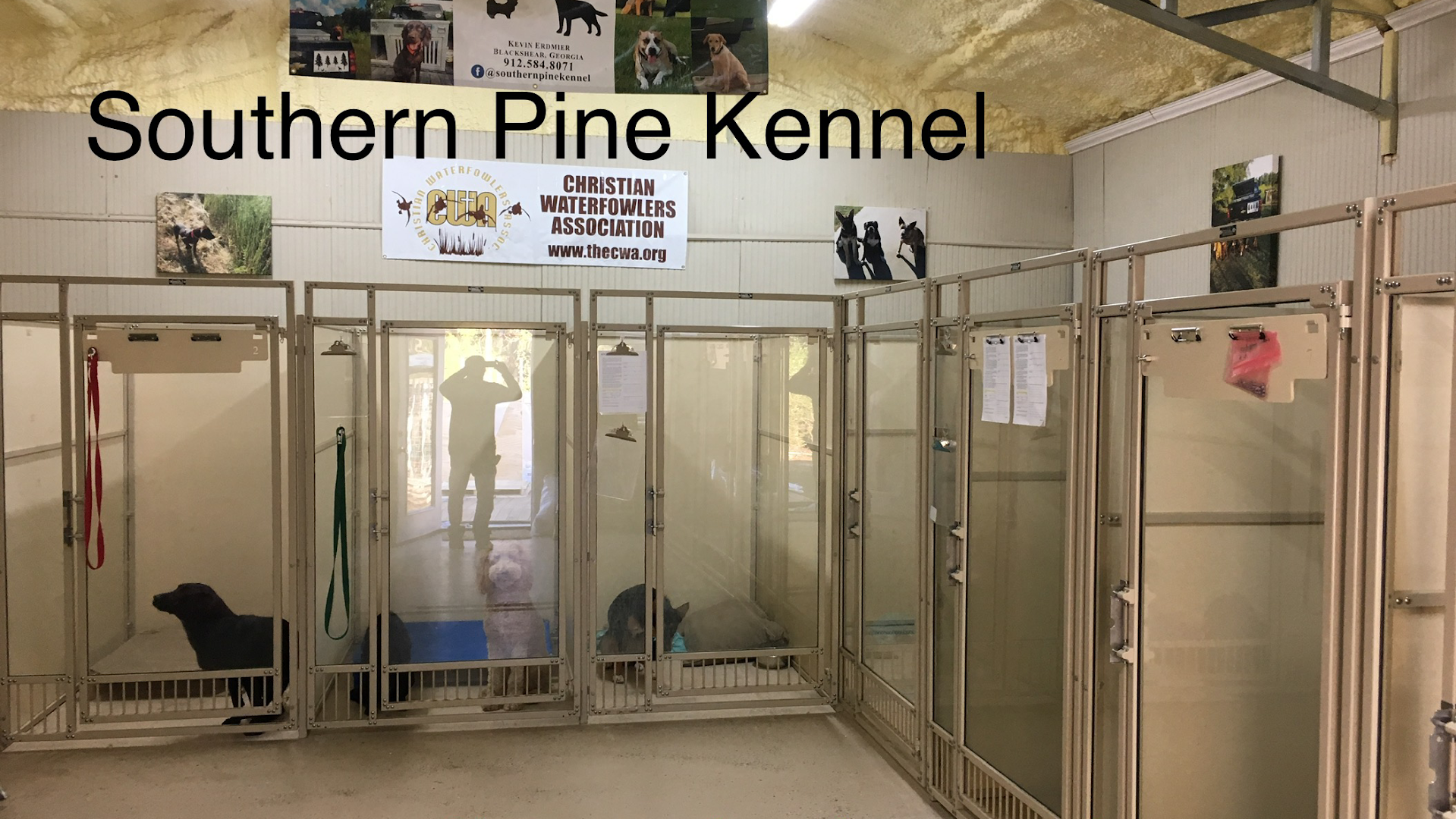 Southern Pine Kennels