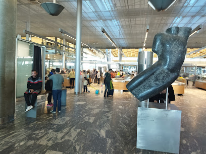 Ankomstterminal, Oslo lufthavn