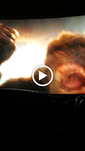 Movie Theater «AMC The Regency 20», reviews and photos, 2496 W Brandon Blvd, Brandon, FL 33511, USA