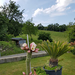 Photo n°2 de l'avis de Angela.o fait le 11/06/2018 à 11:16 sur le  Il Faro à Guiglia