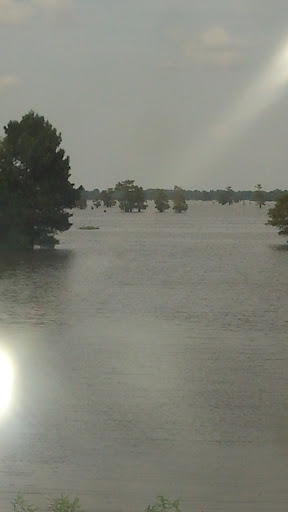 Dance Hall «Whiskey River Landing», reviews and photos, 1365 Henderson Levee Rd, Breaux Bridge, LA 70517, USA