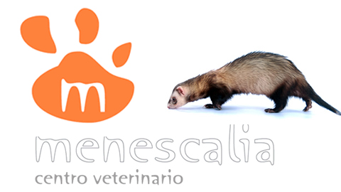 Centro Veterinario Menescalia