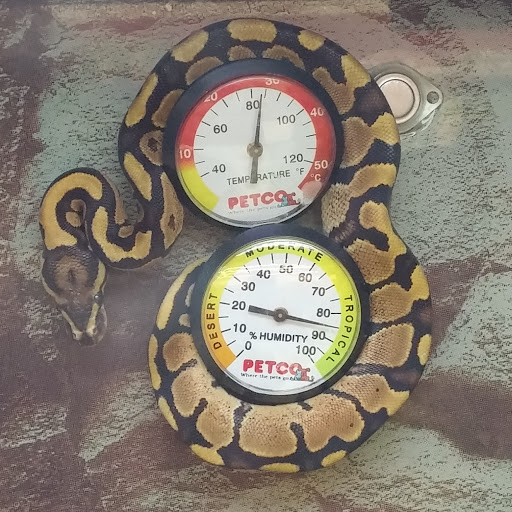 Pet Supply Store «Petco Animal Supplies», reviews and photos, 103 Commerce Way a, Woburn, MA 01801, USA