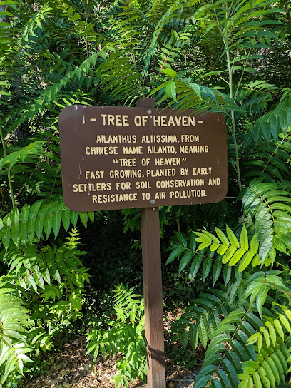 Tree of Heaven Campground