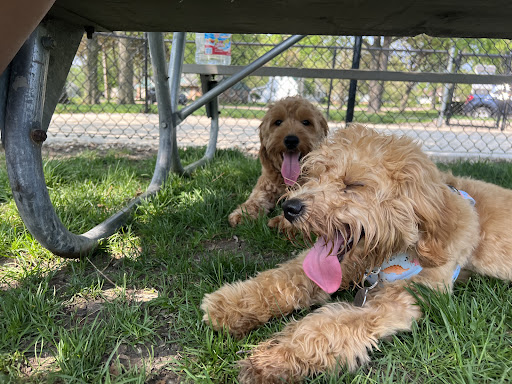 Dog Park «Lincoln Park Dog Park», reviews and photos, S Russell Ave, Aurora, IL 60506, USA