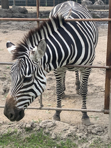 Zoo «Chahinkapa Zoo», reviews and photos, 1004 R J Hughes Dr, Wahpeton, ND 58075, USA