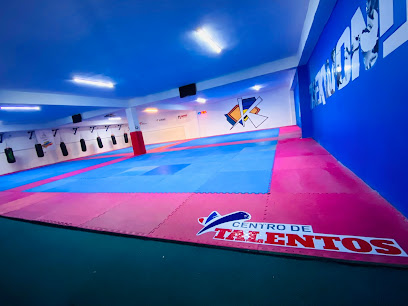 Centro de Talentos Karim Taekwondo - Av. Tecnológico 3108, Del Real, 32660 Cd Juárez, Chih., Mexico