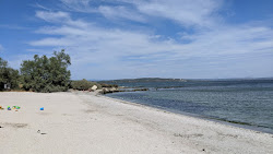 Plage De La Romaniquette'in fotoğrafı imkanlar alanı