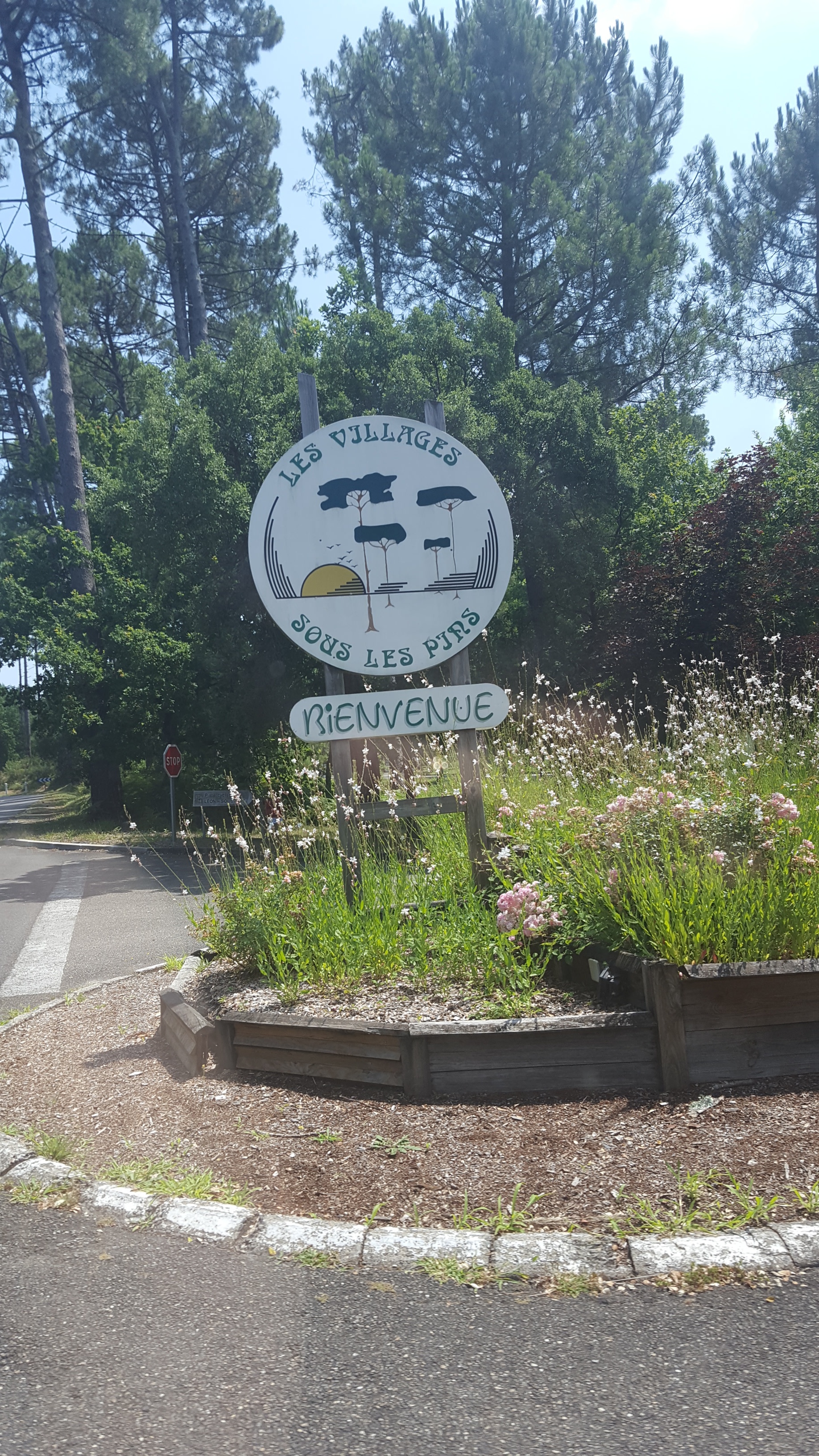 Photo n° 1 de l'avis de Tiiméo.e fait le 15/07/2018 à 12:43