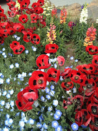 Delightful Diva Voice Studio - Photo 3 - Car repair in Roselle, IL, Elgin