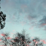 Photo n°5 de l'avis de Marion.l fait le 06/02/2023 à 09:55 sur le  Hotel IV Jahreszeiten Zingst à Zingst