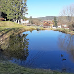 Photo n°8 de l'avis de dieter.e fait le 06/03/2020 à 21:20 sur le  Landhotel Christopherhof à Grafenwiesen