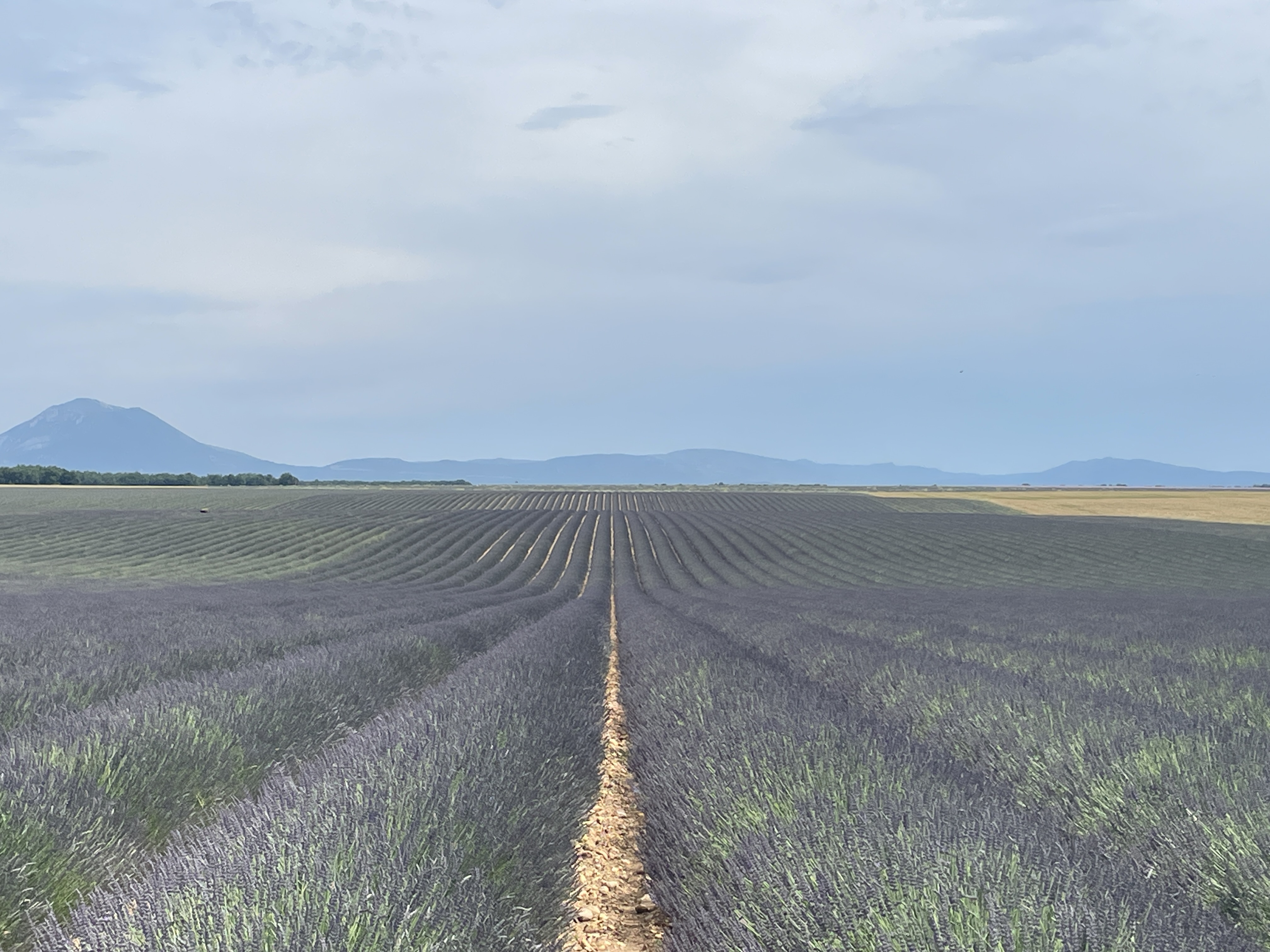Photo n° 2 de l'avis de LAU.H fait le 19/06/2023 à 15:21