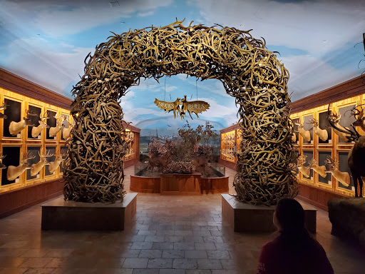 Sporting Goods Store «Bass Pro Shops», reviews and photos, 1935 S Campbell Ave, Springfield, MO 65807, USA