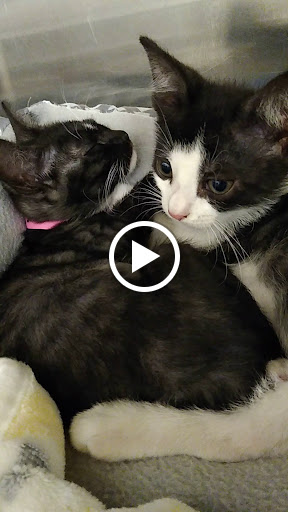 Pet Supply Store «PetSmart», reviews and photos, 4550 W Lake Mary Blvd, Lake Mary, FL 32746, USA