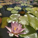 Photo n°5 de l'avis de Stefania.u fait le 01/03/2022 à 17:30 sur le  Le Corti Sarde - Apart Hotel à Bari Sardo