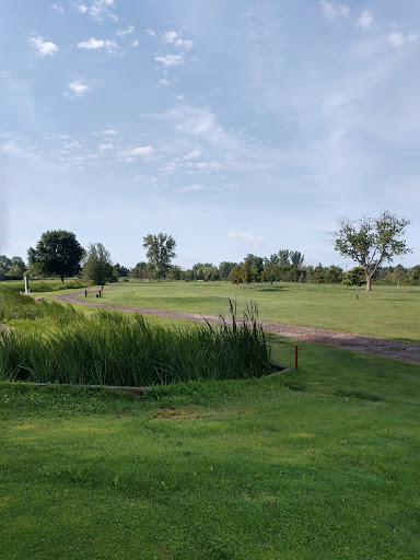 Golf Course «Glenbrier Golf Course», reviews and photos, 4178 W Locke Rd, Perry, MI 48872, USA