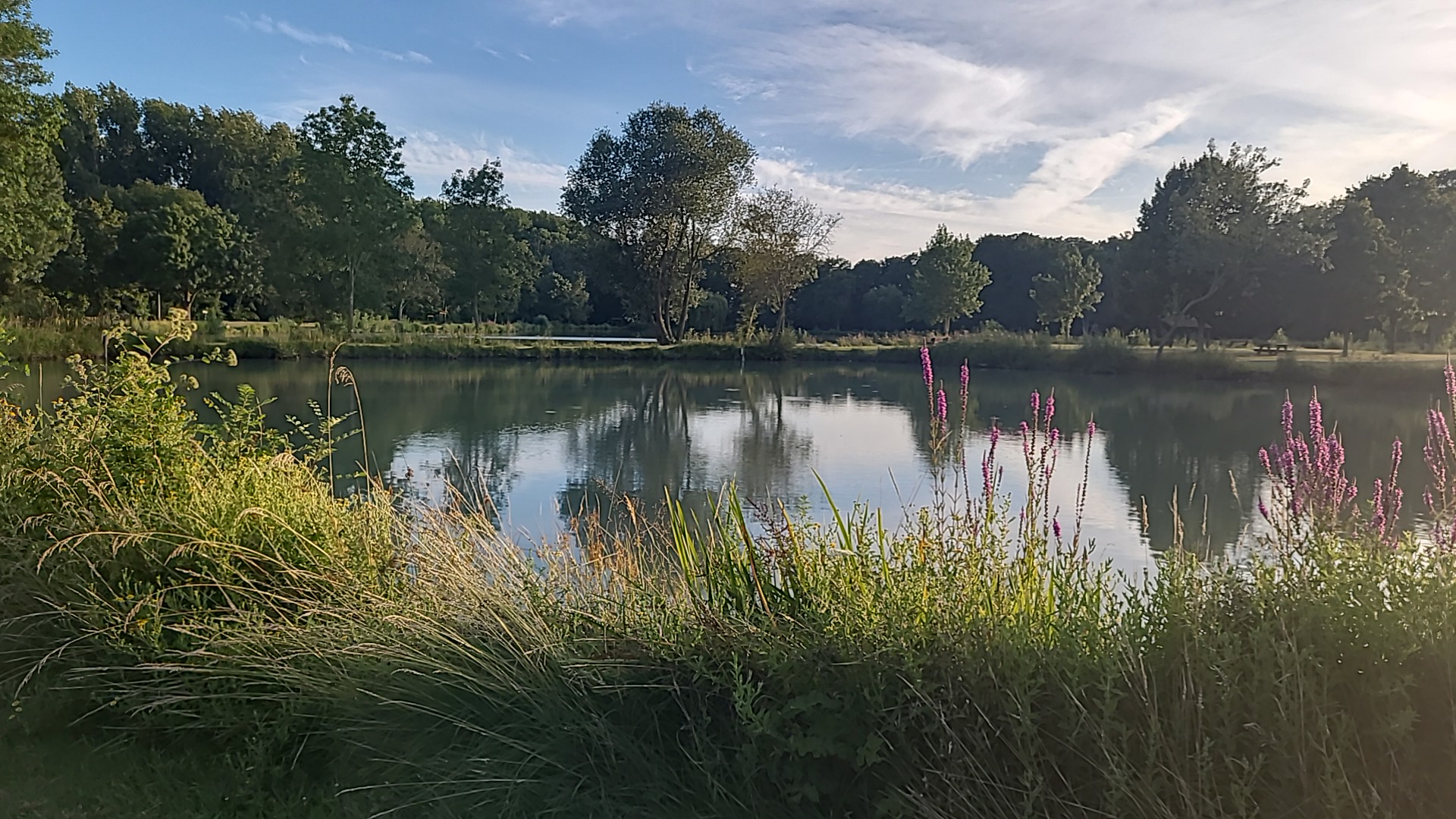 Photo n° 1 de l'avis de Philippe.e fait le 19/07/2023 à 18:41