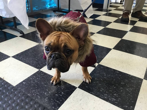 Pet Store «The Pet Place», reviews and photos, 240 Shadowline Dr, Boone, NC 28607, USA