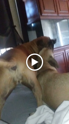 Paint Store «Adco Paint & Supply Co», reviews and photos, 6620 W Orangewood Ave, Glendale, AZ 85301, USA