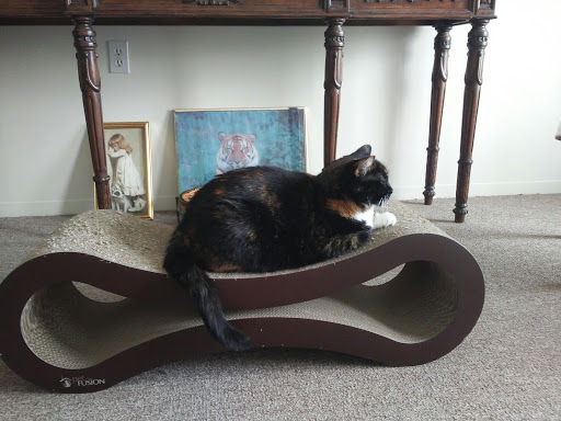 Pet Supply Store «PetSmart», reviews and photos, 1297 Promenade Pl, Eagan, MN 55121, USA