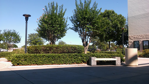 Movie Theater «AMC Veterans 24», reviews and photos, 9302 Anderson Rd, Tampa, FL 33634, USA