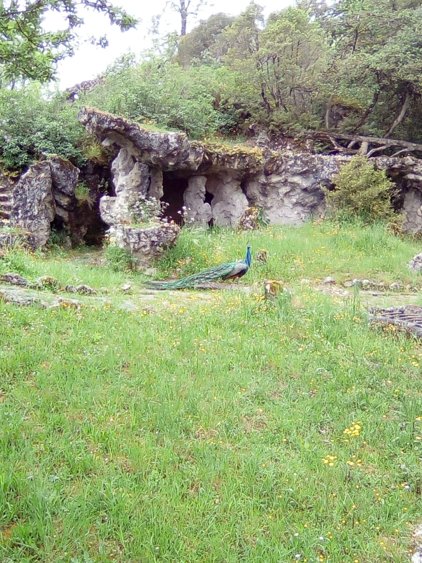 Photo n° 5 de l'avis de Vicky.a fait le 08/06/2022 à 18:15