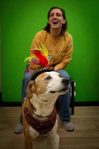 Shepherd of the Hills Veterinary Clinic image