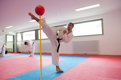 ETV-Karate, Hamburg