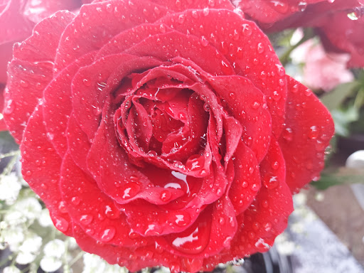 Funeral Home «Bonney-Watson», reviews and photos, 16445 International Blvd, SeaTac, WA 98188, USA